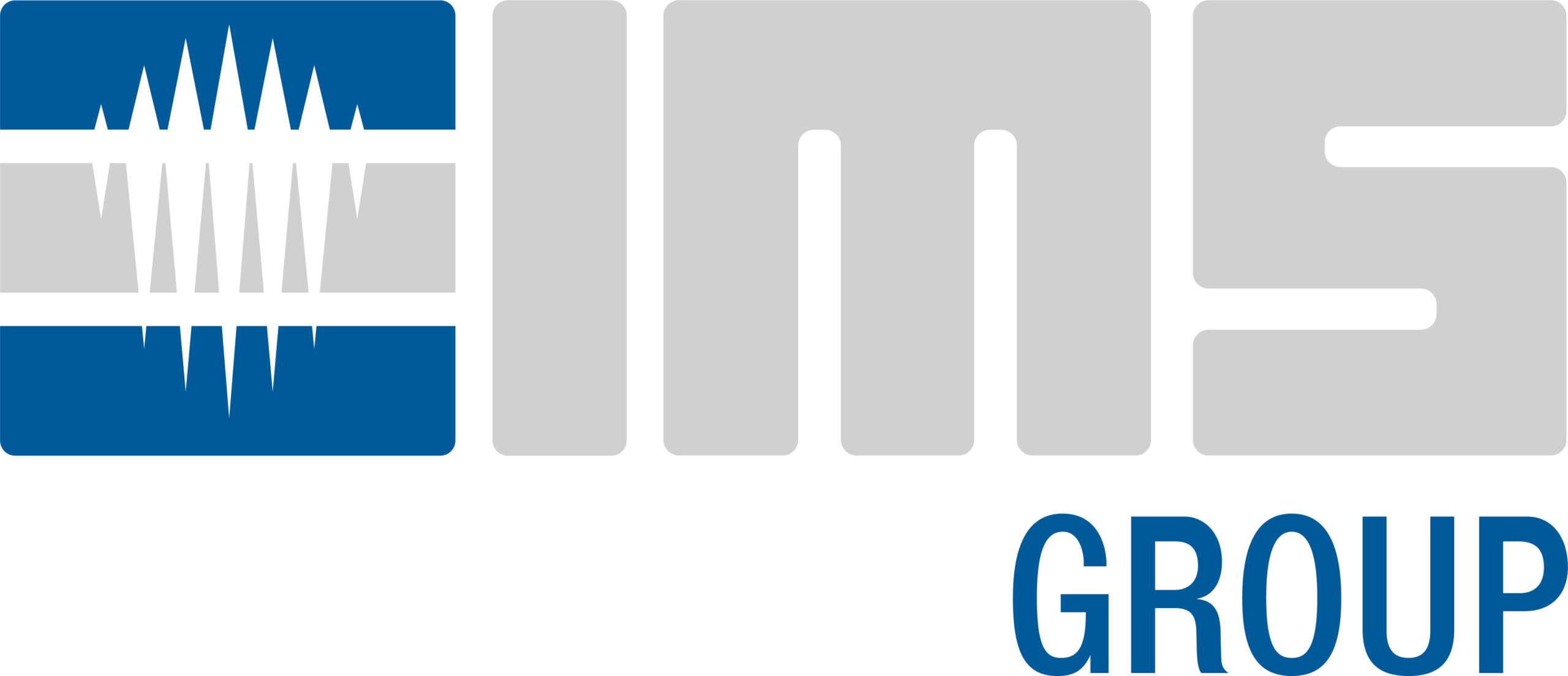 IMS_Group_Brand_RGB-scaled-1