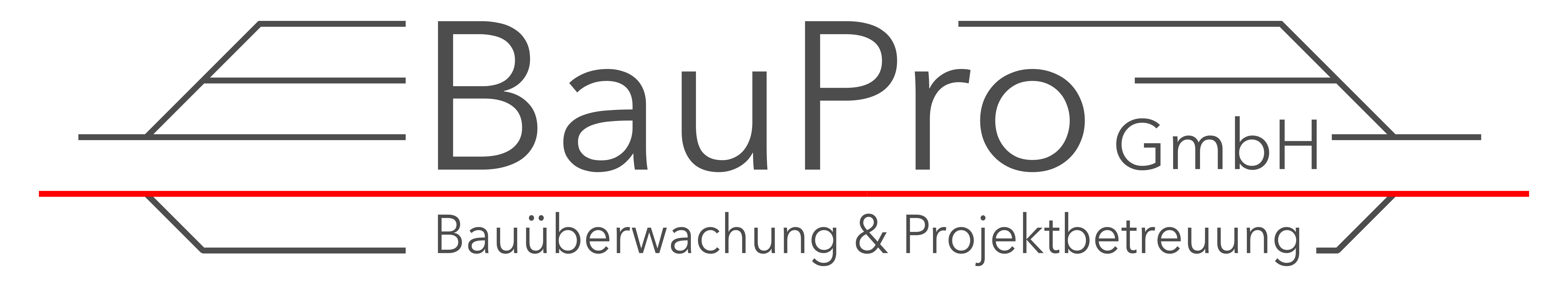 LOGO_BauPro-1