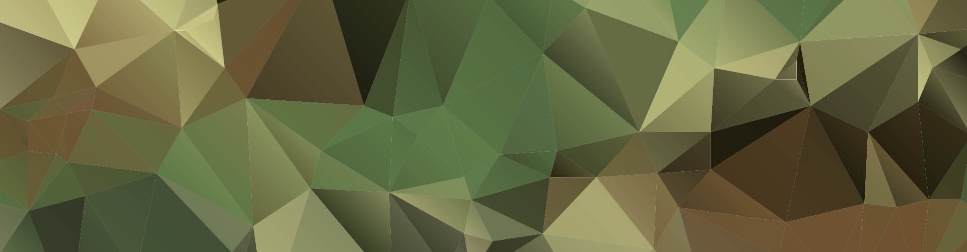 Connect_Header_Polygon_WEB_1920x500px