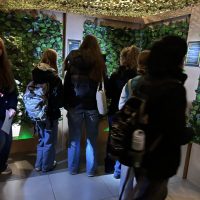 Foto: Smurfit Westrock